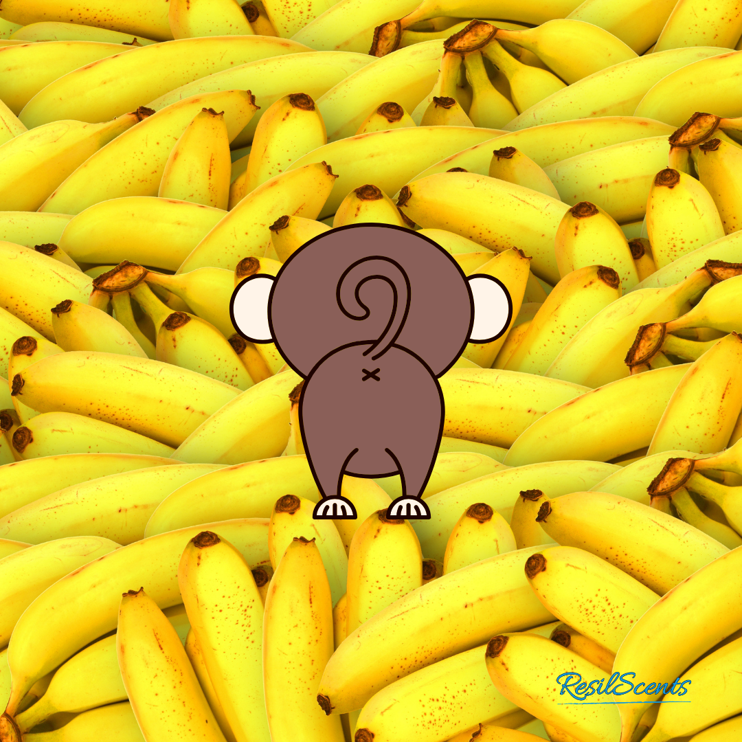 Monkey Farts