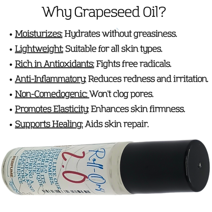 2.0 On the Go Bundle Hanging Car Diffuser Roll On Oil 2oz Room Spray
