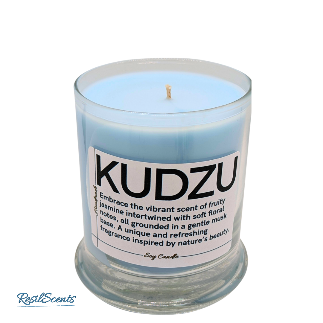 Kudzu Candle and Spray Bundle 2 ResilMini Tins 1 Balance Candle 2oz Room Spray