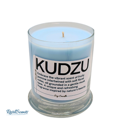 Kudzu Candle and Spray Bundle 2 ResilMini Tins 1 Balance Candle 2oz Room Spray